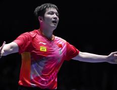 乐鱼app-包含波兰乒乓球队完胜韩国乒乓球队，樊振东打破历史纪录的词条