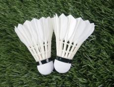 乐鱼app-法国羽毛球队绝地反击韩国羽毛球队，马琳关键制胜