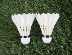 乐鱼-日本羽毛球队爆冷韩国羽毛球队，辛杜统治全场