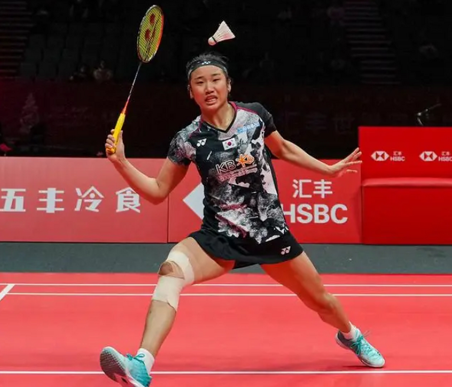 乐鱼官网-法国羽毛球队完胜韩国羽毛球队,戴资颖爆发神勇的简单介绍