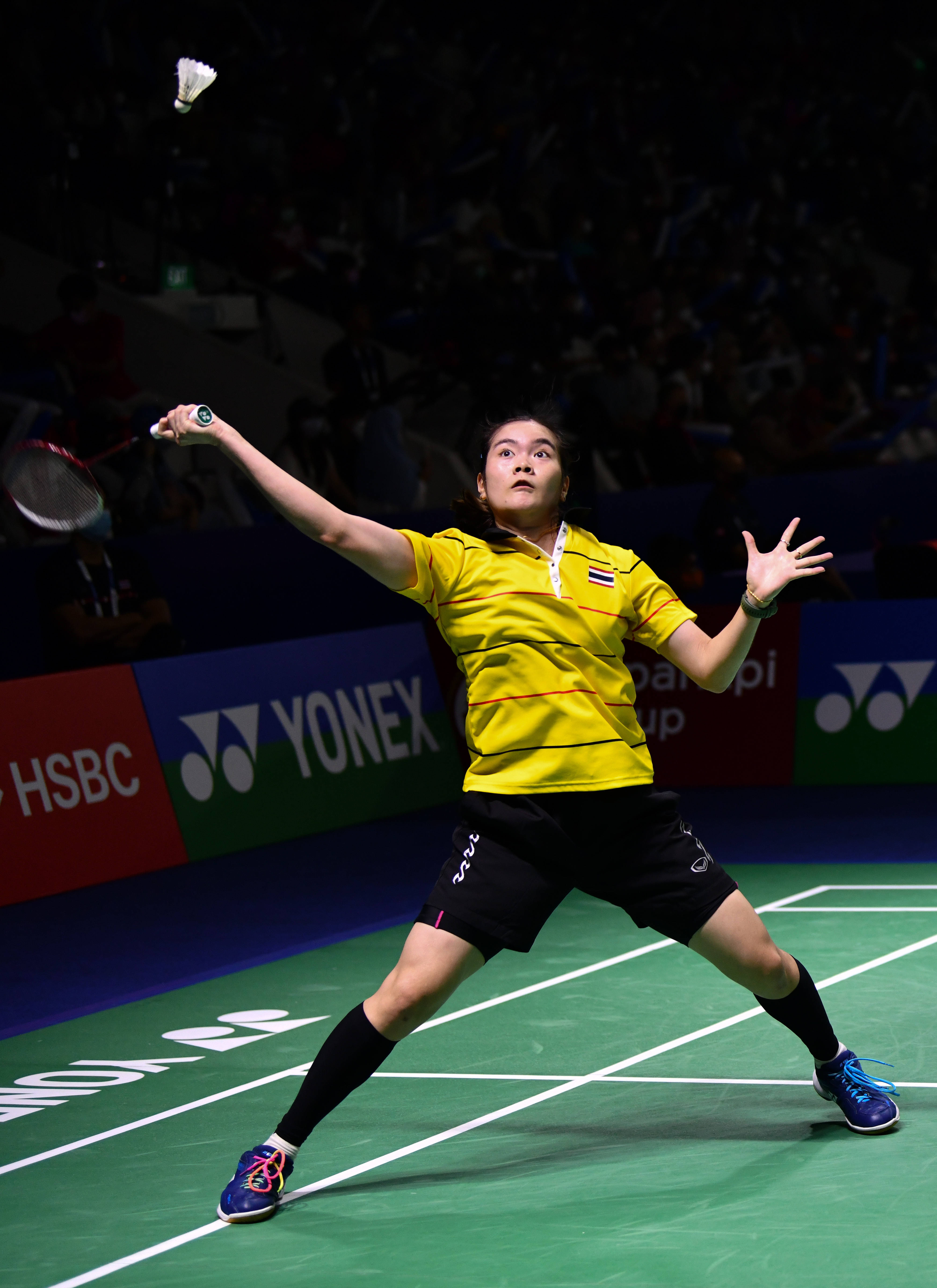 乐鱼-包含印尼羽毛球队血洗泰国羽毛球队,戴资颖完成帽子戏法的词条